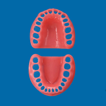 Gingiva for CON2001-UL-SP [CON2001-GUL-SP-32]