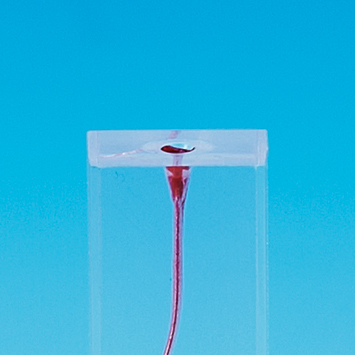 Root Canal Model [E-END1 Series]