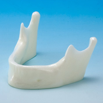 Drilling Practice Model [IMP1003-L-HD]