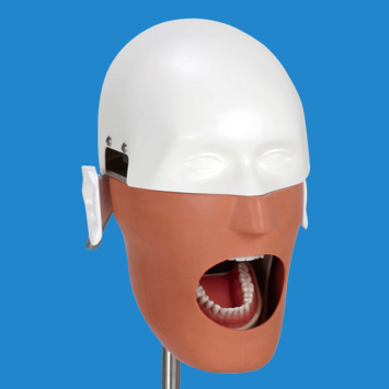 NISSIM Type 1