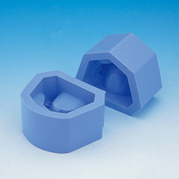 Plaster Model Mold (malocclusion) [ORT Various Mold]