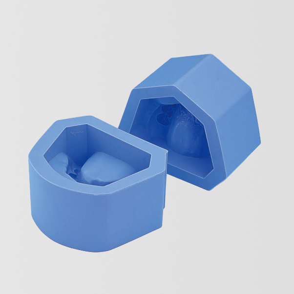 Plaster Model Mold (malocclusion) [ORT Various Mold]