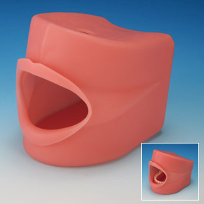 Oral Cavity Cover Large B