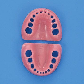 Gingiva for PDI2001-UL [PDI2001-GUL-SP]