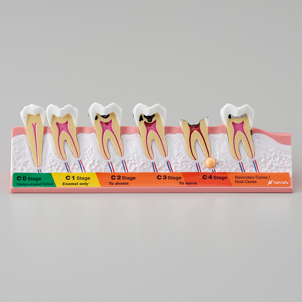 Products | Nissin Dental Products Inc. - Total Solution for Dental