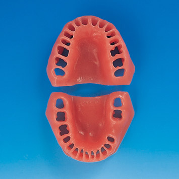 Gingiva for PER1001-UL [PER1001-GUL-SP-32]