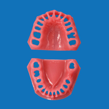 Gingiva for PER2002-UL [PER2002-GUL-FP-28]