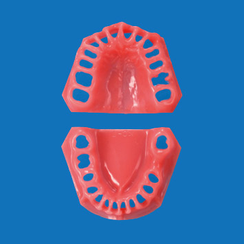Gingiva for PER2002-UL [PER2002-GUL-SP-28]