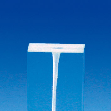Root Canal Model [S1 Series]