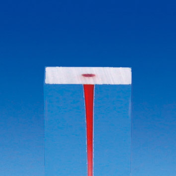 Root Canal Model [S2 Series]