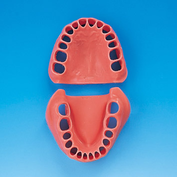 Gingiva for SUG1004-UL [SUG1004-GUL-SP-28]