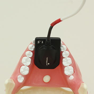 Tripod X-ray Manikin Set