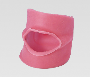 Type 2 Oral Cavity Cover