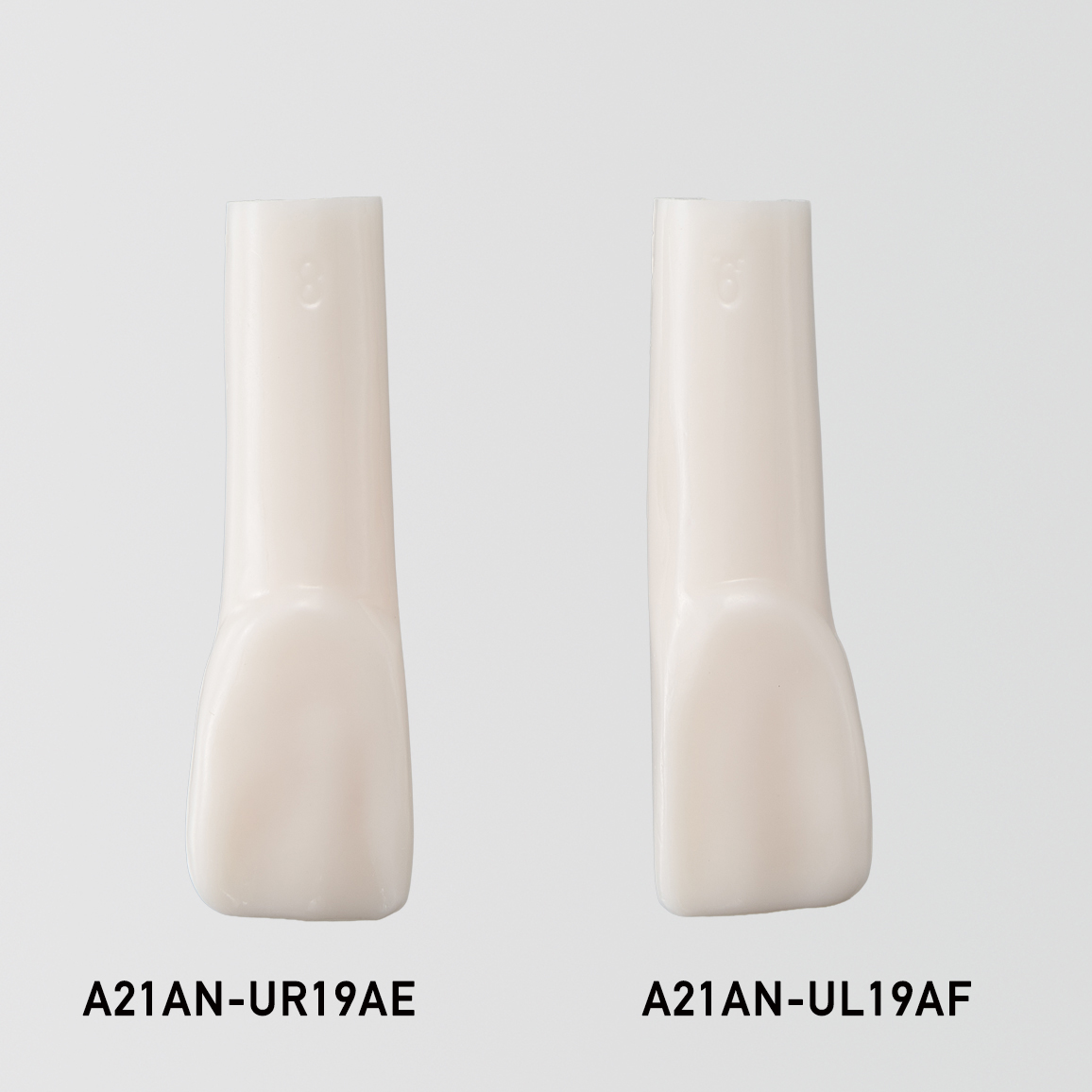 Diastema Tooth Model [A21AN-UR19AE, A21AN-UL19AF]