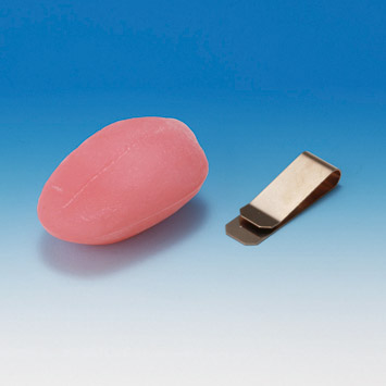 Tongue Model [Z-1]