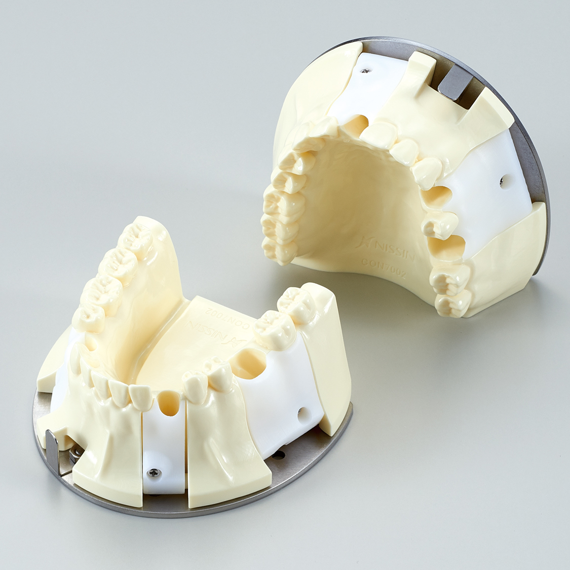 Endodontic Training Jaw Model [CON7002-UL-HD-HM]