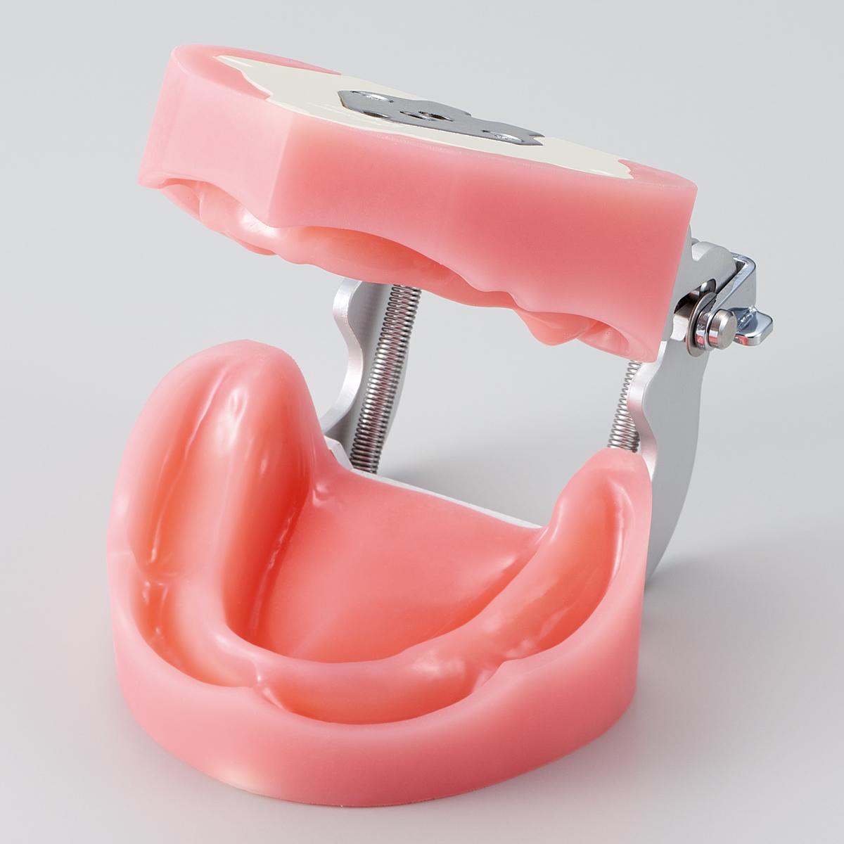 Modelo edéntulo de Encía Blanda [EDE1001-UL-UP-FEM]