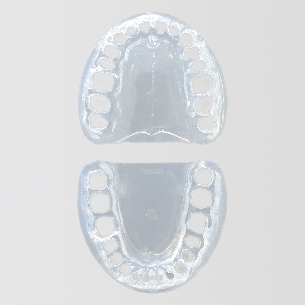 Modelo de Maxilar SRP [PER2001-UL-SC-FEM-32]
