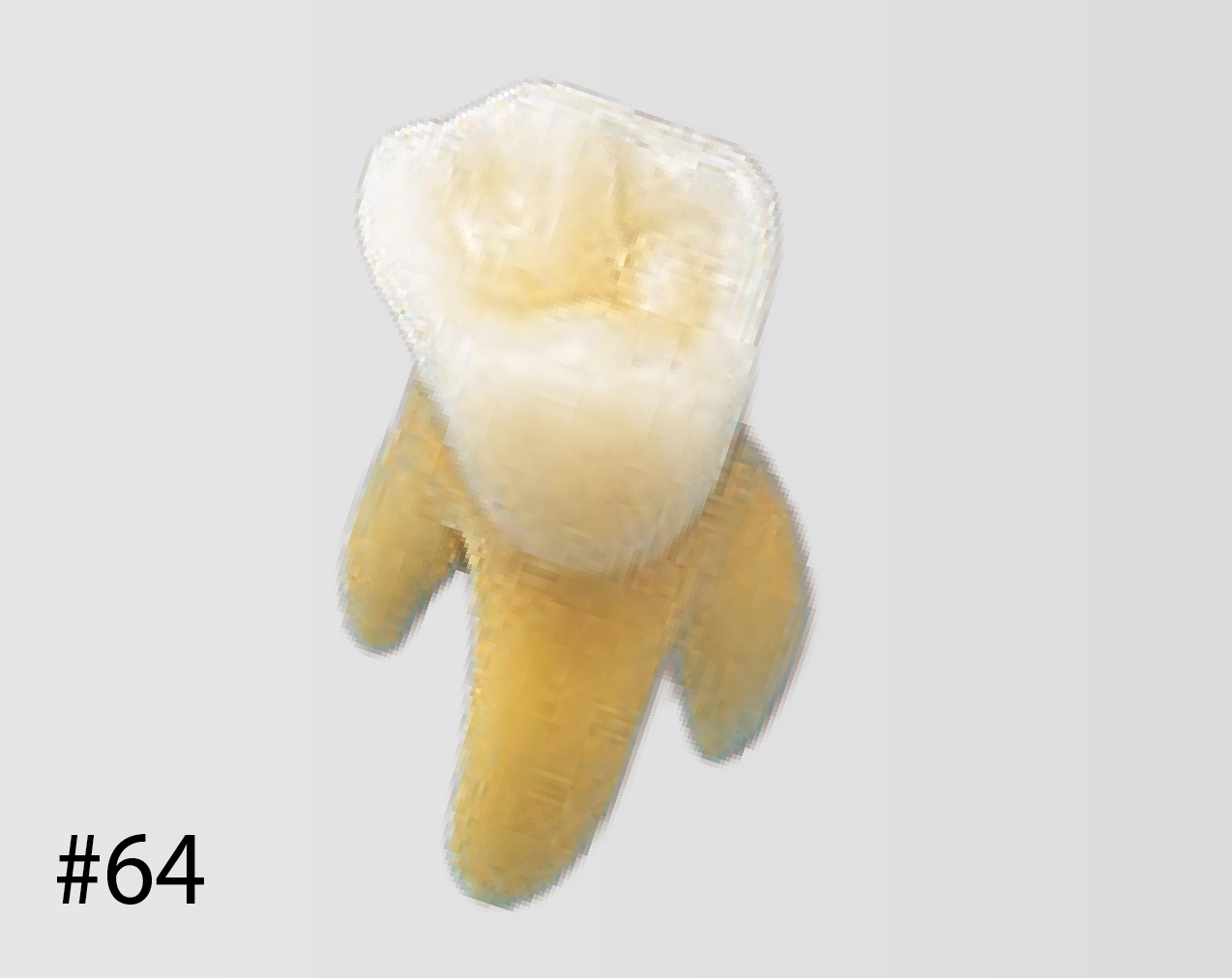 Modelo de Diente Anatómico [B4-309]