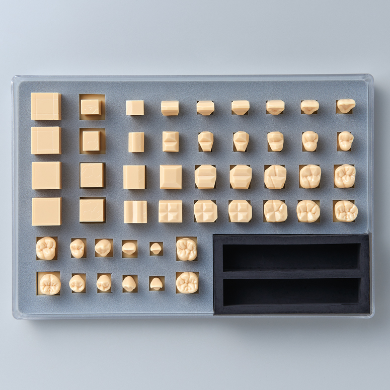 Kit Explicativo de Tallado de Modelos Dentales [C11-TU.1]