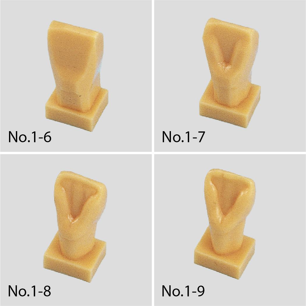 Kit Explicativo de Tallado de Modelos Dentales [C11-TU.1]