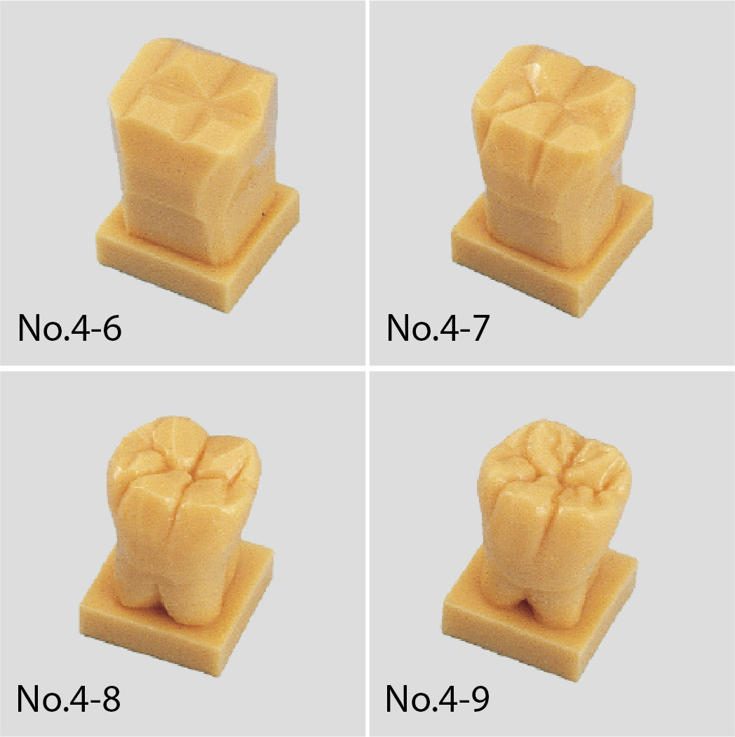 Kit Explicativo de Tallado de Modelos Dentales [C11-TU.1]