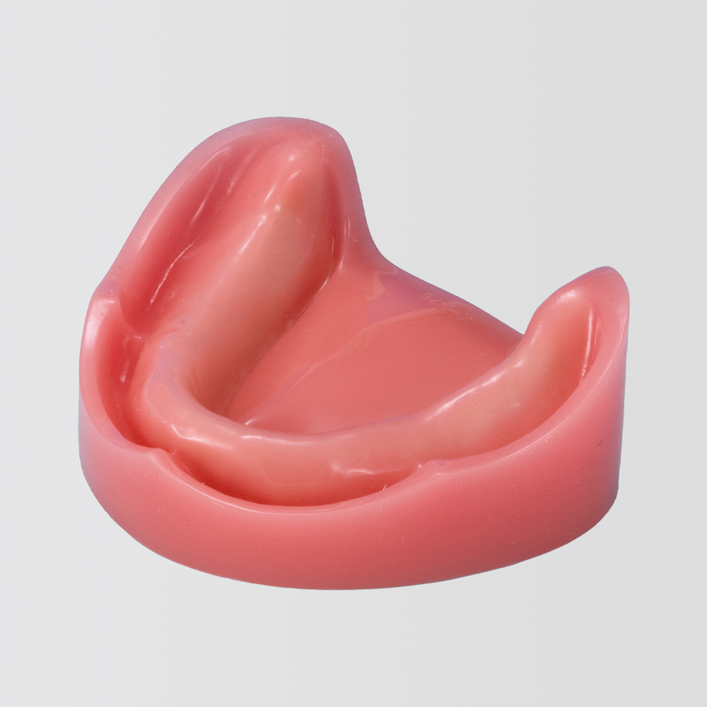 Modelo de Maxilar para Práctica de Implantes [IMP1006-L-SP]