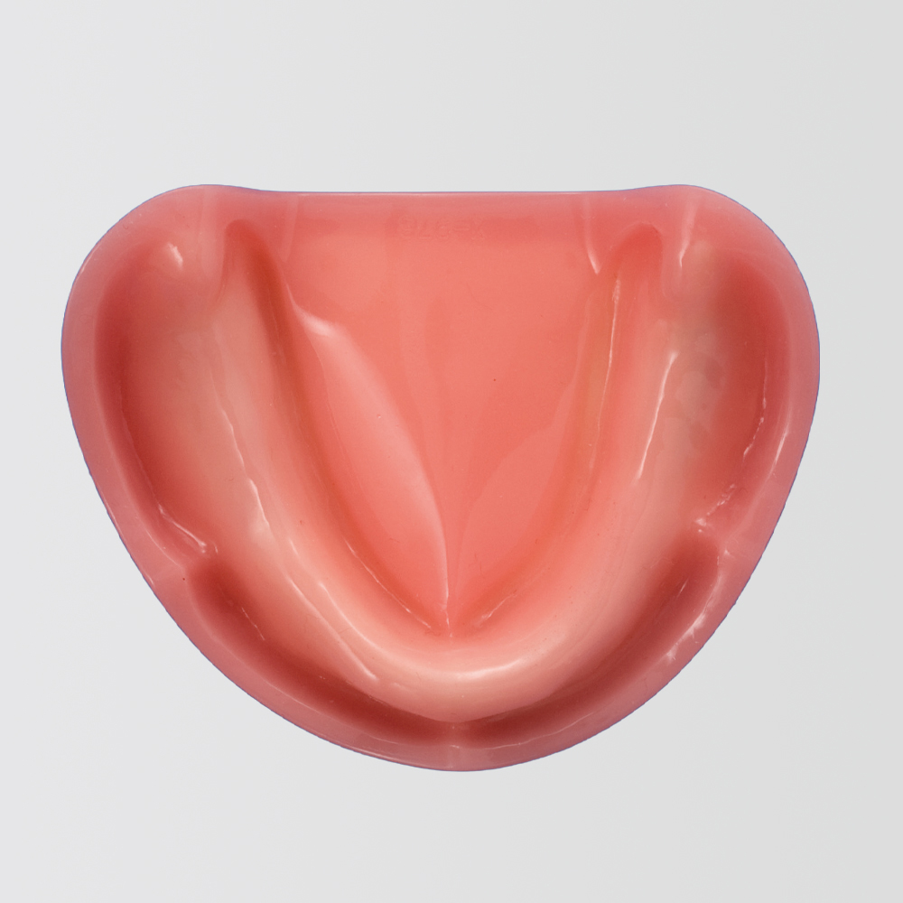 Modelo de Maxilar para Práctica de Implantes [IMP1006-L-SP]