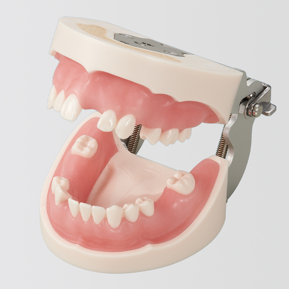 Modelo Básico para Práctica de Implantes [Serie IMP1034]