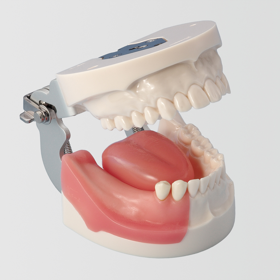 Modelo Básico para Práctica de Implantes [Serie IMP5003]