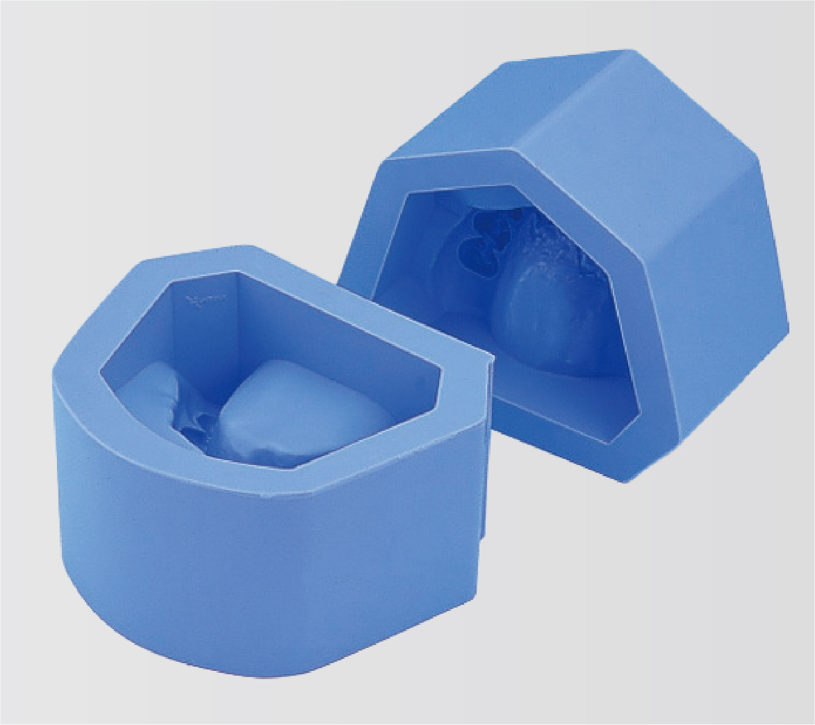 Molde para Modelos en Yeso (Maloclusión) [ORT Moldes Varios]