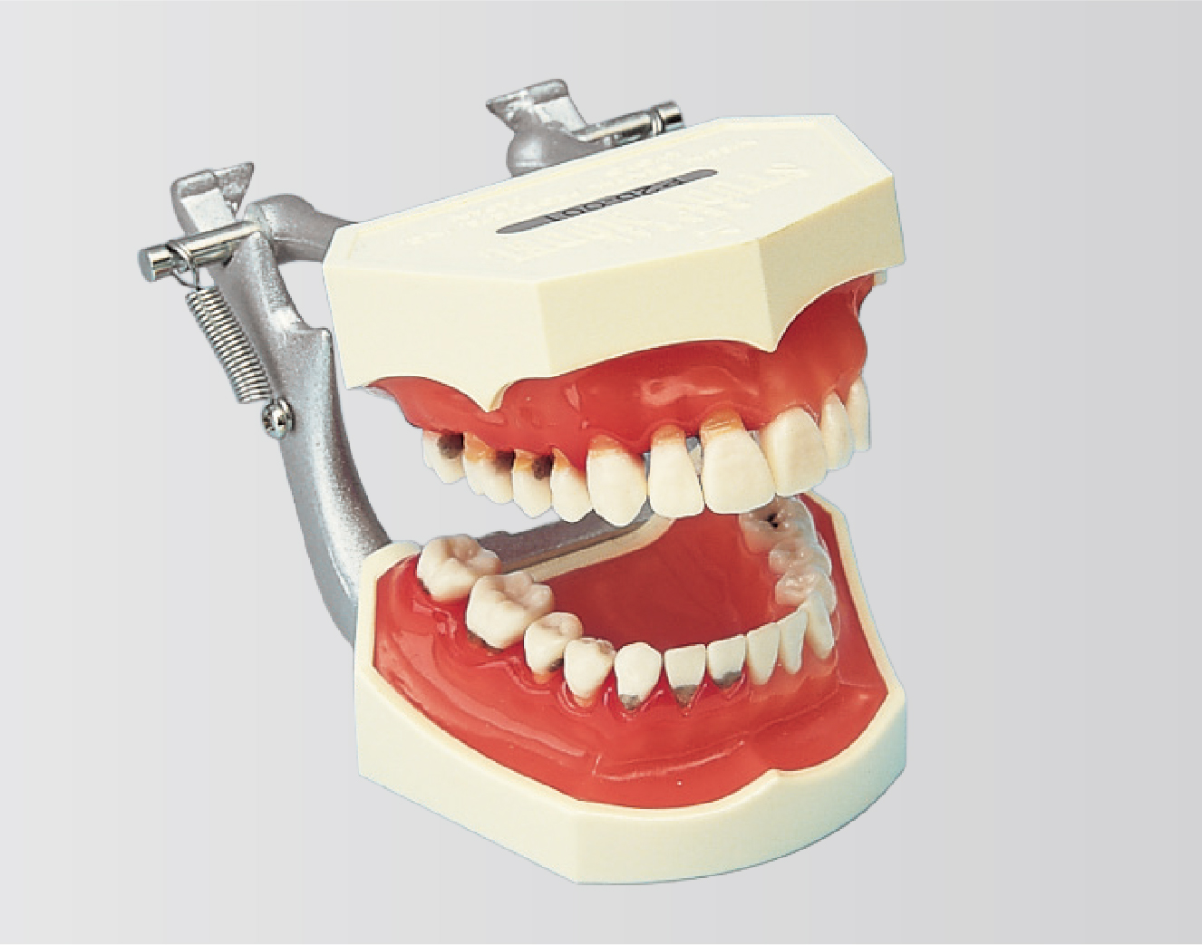 Modelo para Estudio de Patología [PE-PER005]