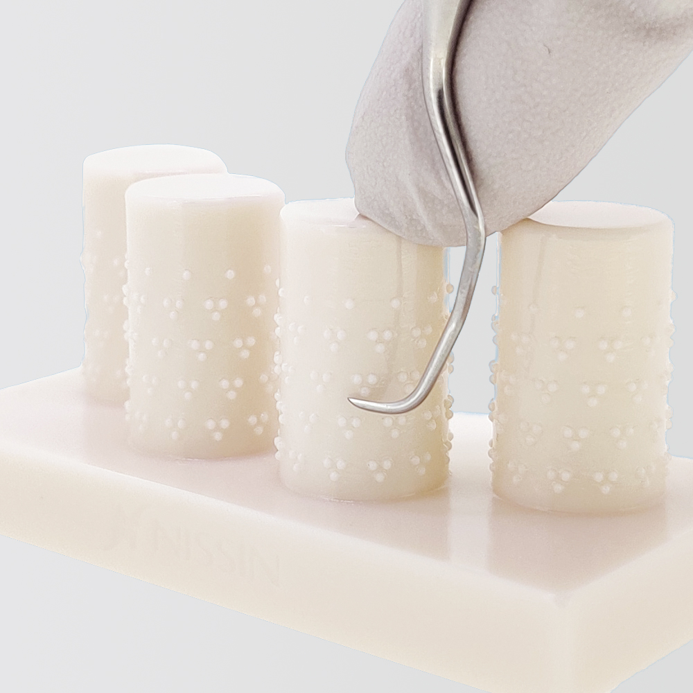 Modelo para Retirada de Cálculo Dental [PER1023-T-HDI]