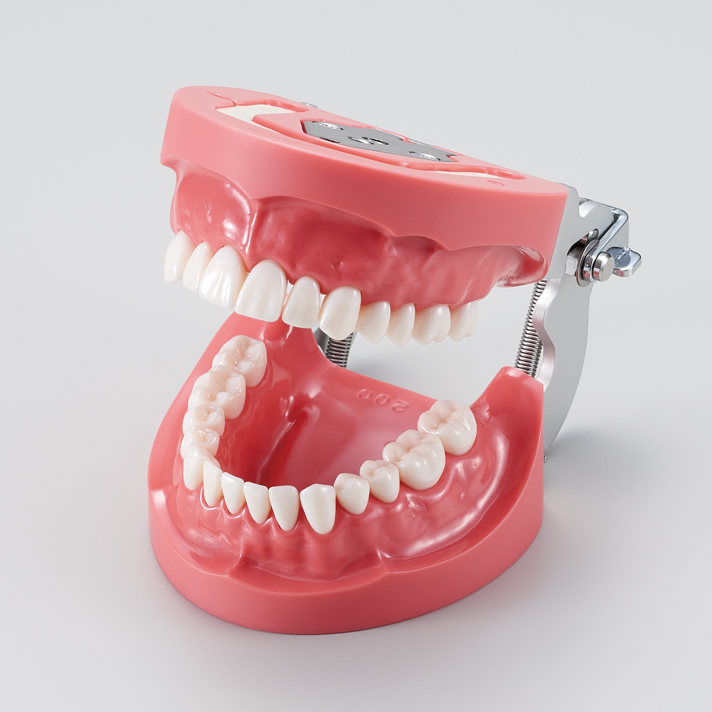 Modelo de Maxilar de Encía Dura (28 dientes) [PRO2002-UL-HD-FEM-28]