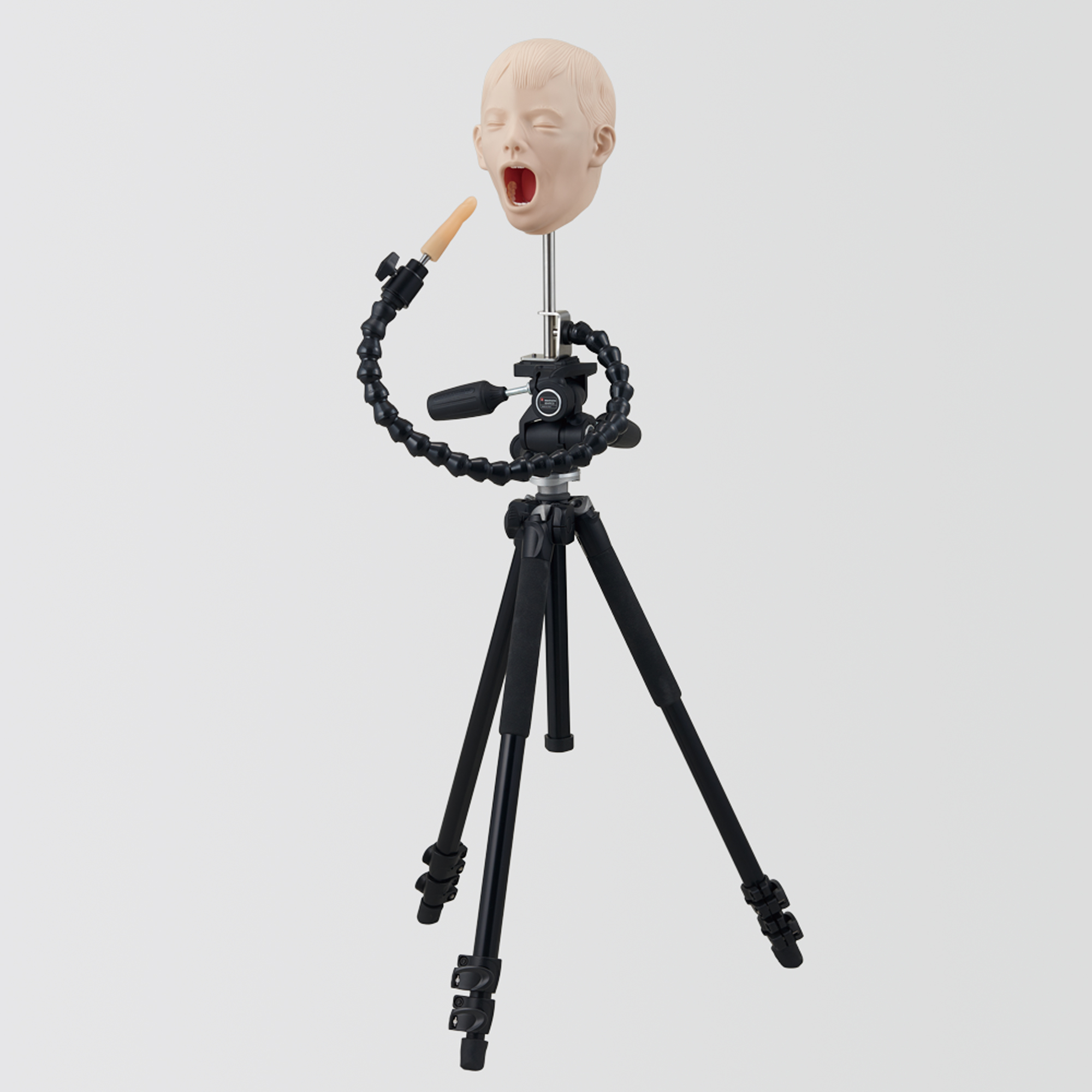 Set Maniquí de Rayos X Pediátrico