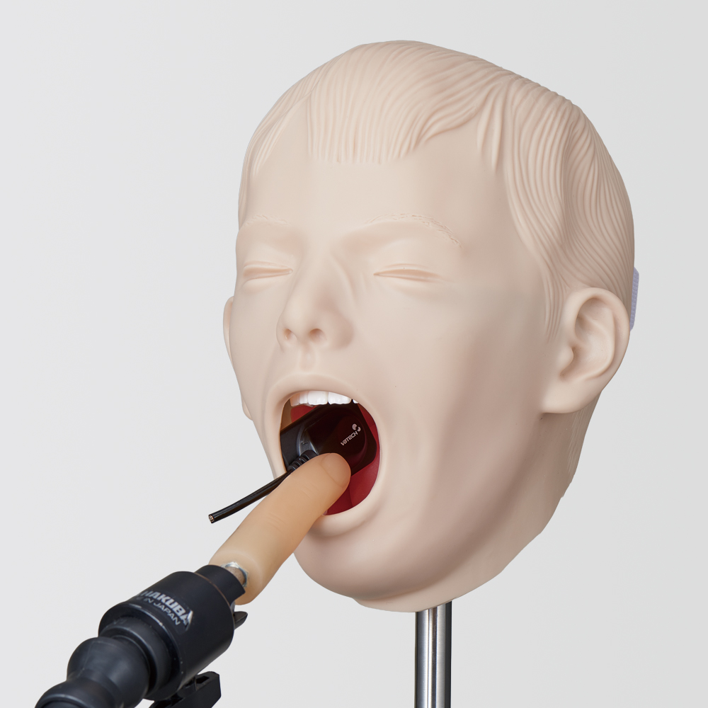 Set Maniquí de Rayos X Pediátrico