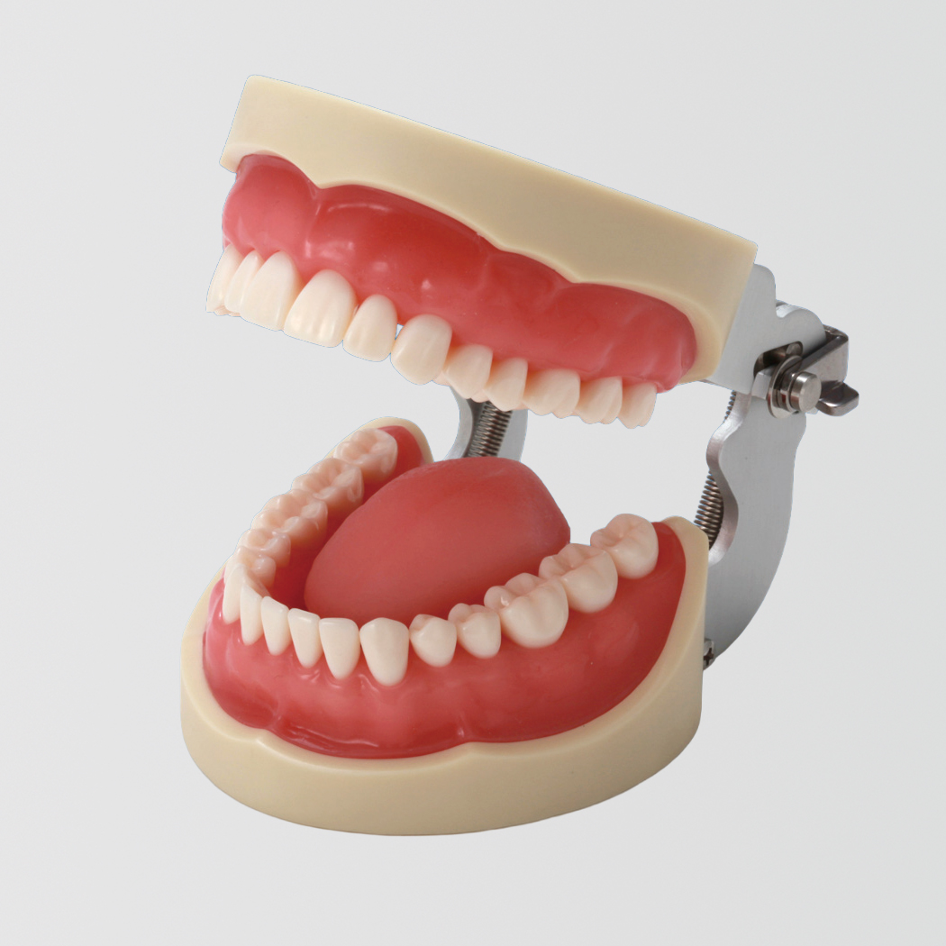 Modelo de Lengua [Z-1]