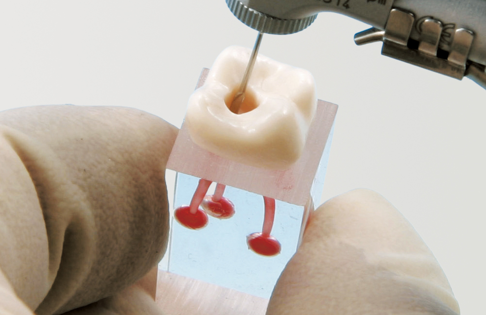 Área de Endodoncia