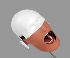 Fantoma Dental