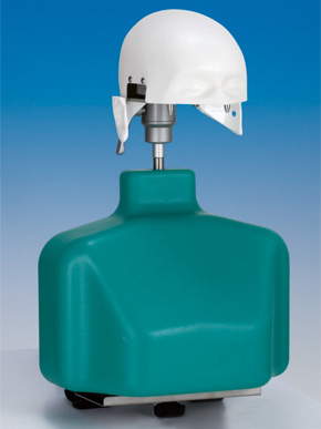 Chair Mount Torso Set