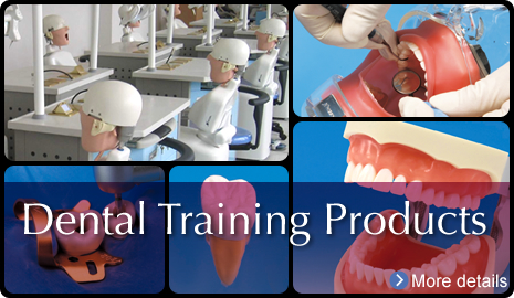 Dental Training Products